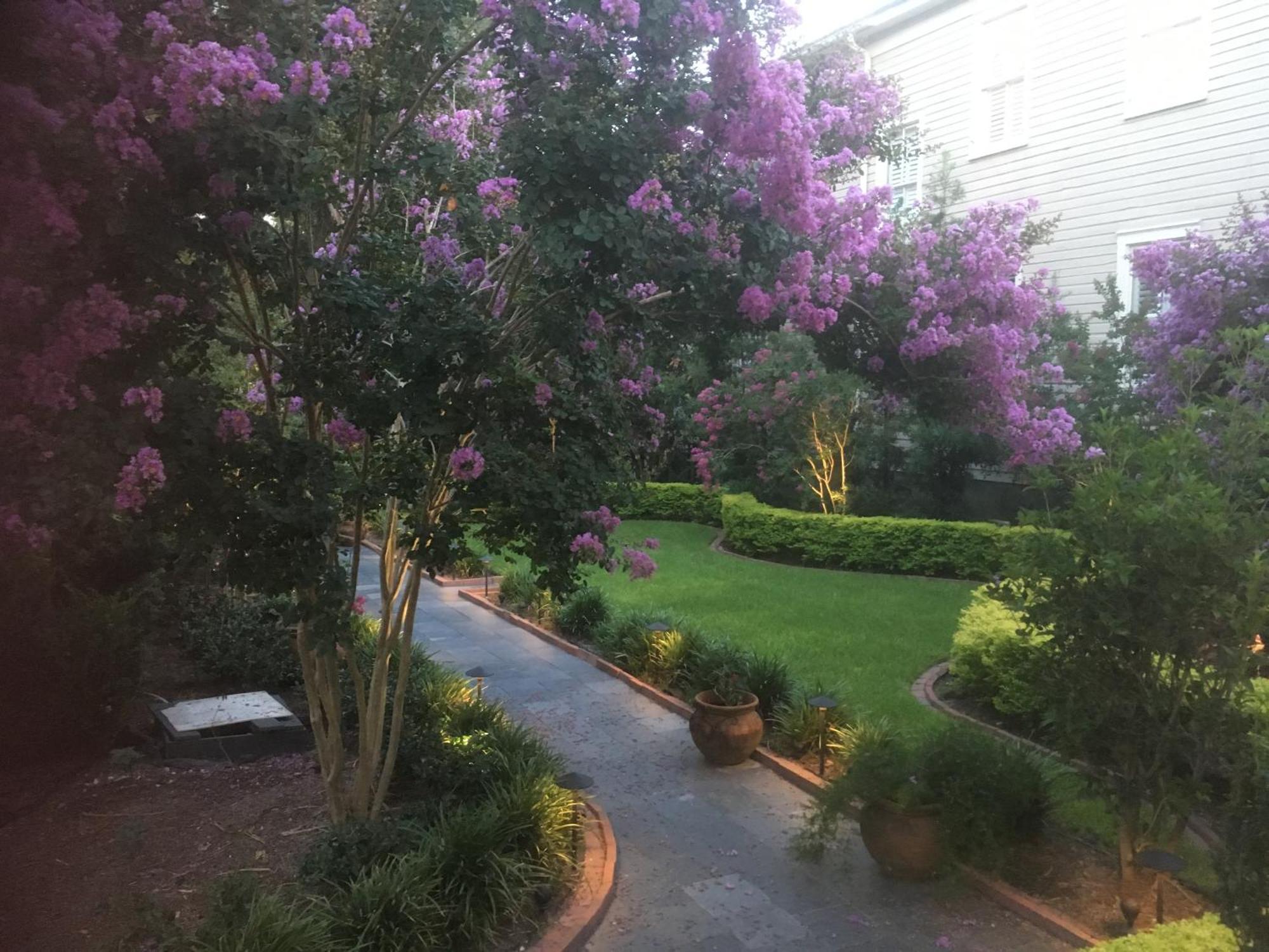22 Charlotte Bed & Breakfast ชาร์ลสตัน ภายนอก รูปภาพ