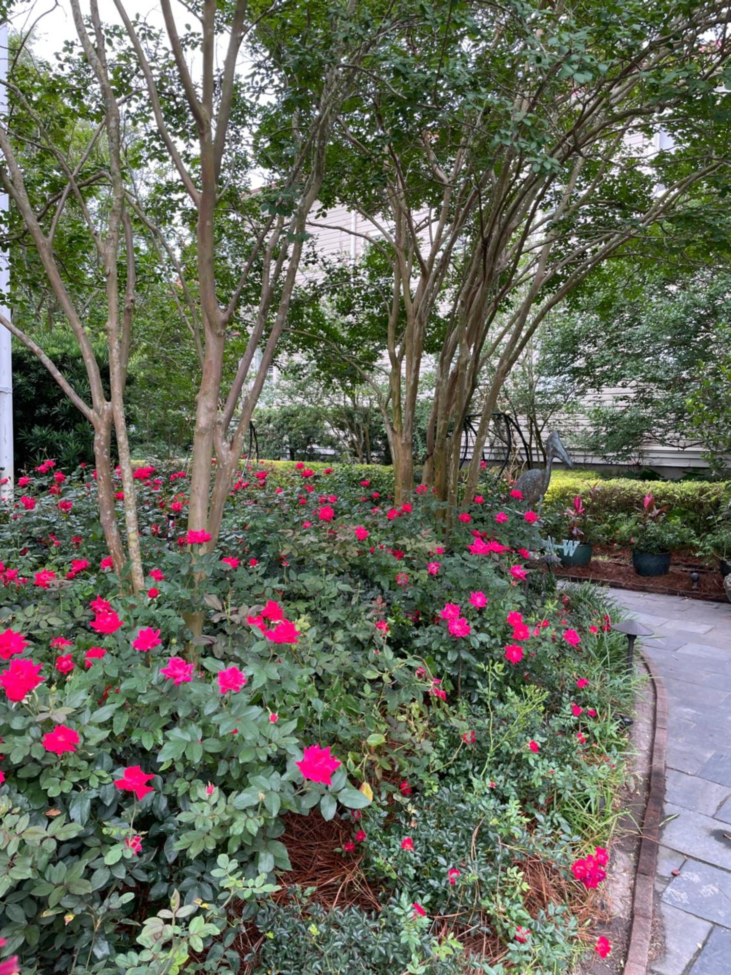 22 Charlotte Bed & Breakfast ชาร์ลสตัน ภายนอก รูปภาพ