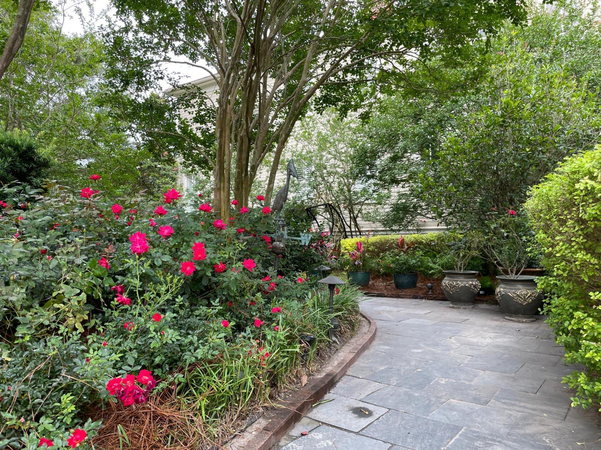 22 Charlotte Bed & Breakfast ชาร์ลสตัน ภายนอก รูปภาพ