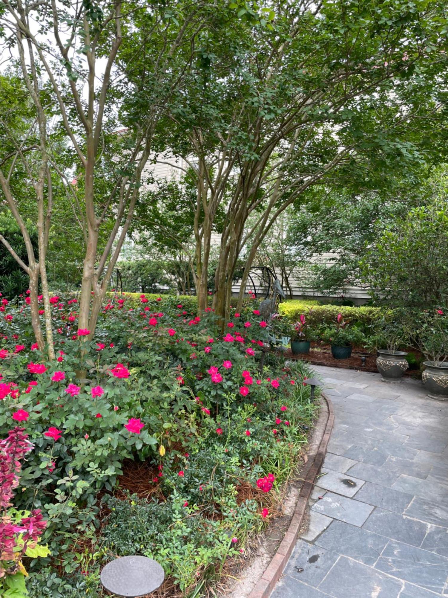 22 Charlotte Bed & Breakfast ชาร์ลสตัน ภายนอก รูปภาพ
